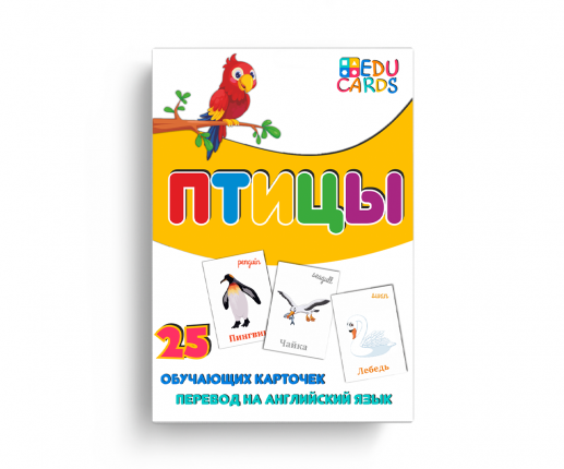 Păsări thumb-image 2