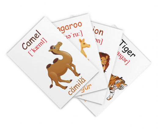 Animale sălbatice thumb-image 4