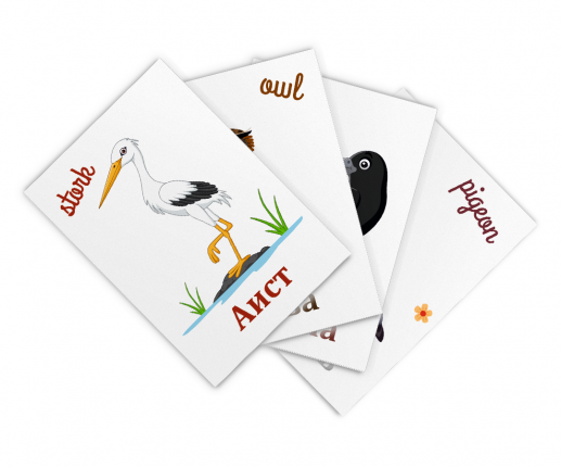 Păsări thumb-image 4