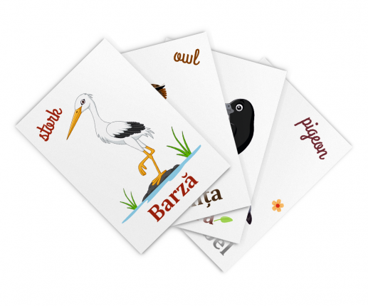 Păsări thumb-image 3